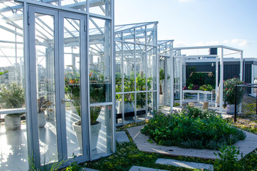Obraz premium belle veranda serre lumineuse moderne urbain, toit