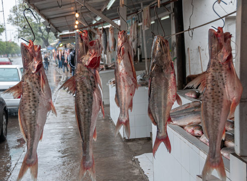 Fish shop by the Parana River