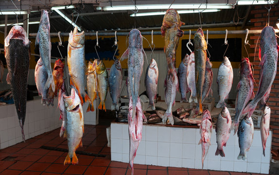 Fish shop by the Parana River