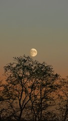 Moon at sundown