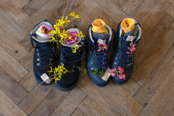 Fototapete bei efototapeten.de bestellen   