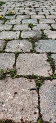 tile paver brick walkway sidewalk path stone