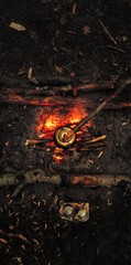 Campfire in woods