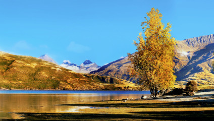 Lake Wanaka New Zealand in autumn mountain landscape