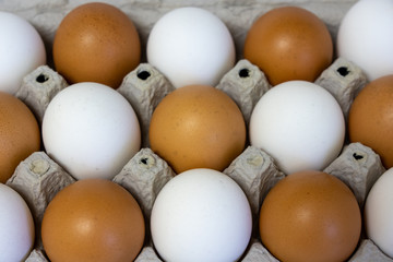 Fresh egg restaurant food menu 