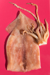 Fresh raw squid on a bright red background under the sun. Close-up.