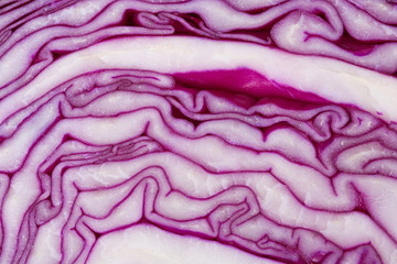 Obraz premium purple cabbage texture, wavy violet-white lines, close-up