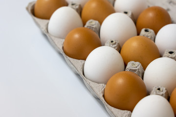 Fresh egg restaurant food menu 