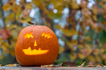 halloween pumpkin, autumn still life