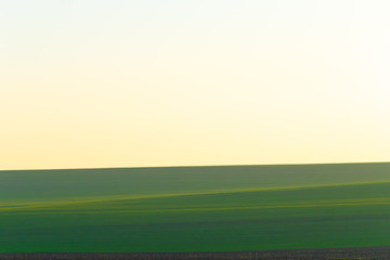 Green agriculture field with white yellow sky background. Blank space image. Symetrical nature background.