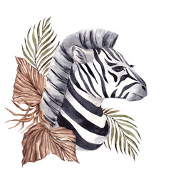 Watercolor illustration with African zebra and tropical leaves, isolated on white background - 336502817
