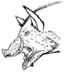 The head of a boar. Tattoo sketch. Graphic image