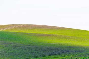 Obraz premium Green yellow hilly curvy field with white sky and village road crossing to the other side of the hill. Illiustration background image f nature and new ccro season. 2020