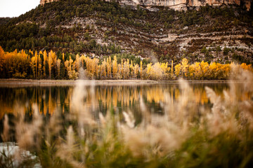 Paisaje de la Laguna de Uña en Cuenca