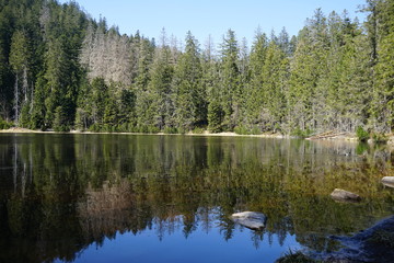Wildsee, Nordschwarzwald