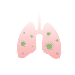 lungs human 