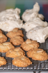 Passover (Pesach) baking - almond macaroon cookies and coconut meringue cakes, presented on a wire cooling tray.
