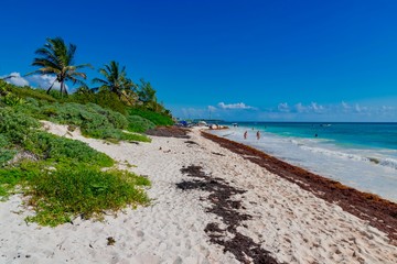 panorama of Cozumel island in Mexico