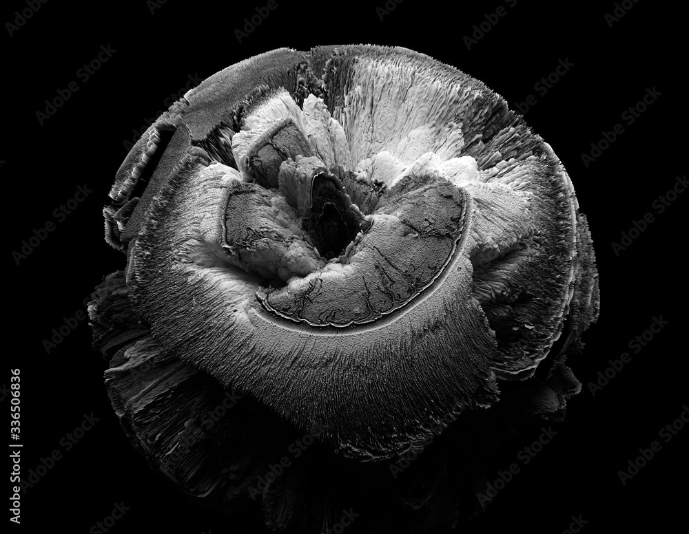 Wall mural 3d render of abstract art with black and white of surreal planet earth or moon with big damage on su
