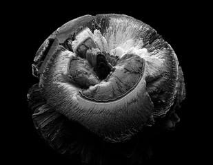 3d render of abstract art with black and white of surreal planet earth or moon with big damage on surface in eye shape on black background