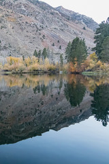 reflecctive mountain lake with pines aspens grass and mountain