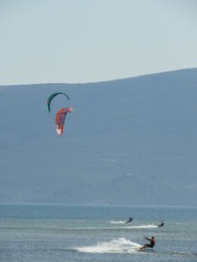 windsurfer