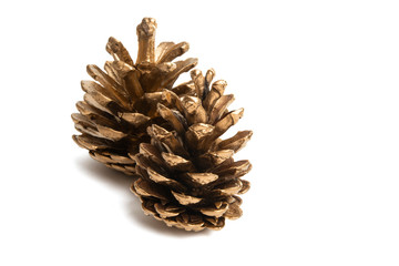 golden pine cones isolated