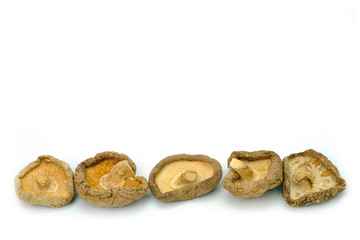 Dried Shiitake Mushrooms on white background.