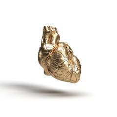 Abstract detailed 3d rendering of golden anatomical heart isolated background