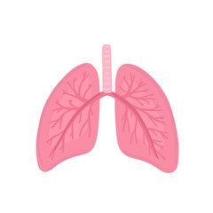 Vector healthy human lungs. Illustration for label, advertisement of pulmonary medicine, poster or banner for pulmonology clinic, design for website or article about respiratory system health
