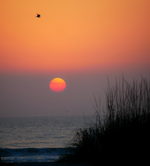 sunrise on the beach