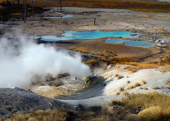 Geyser in Yellowstone National Park