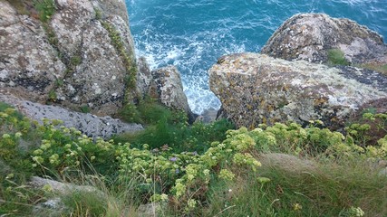 Fototapeta na wymiar swirling sea with rocks and flowers