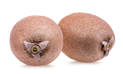 Fresh kiwi isolated on white background with clipping path