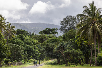 Boys walking from school.  green tropical forest. Tanna island, Vanuatu.