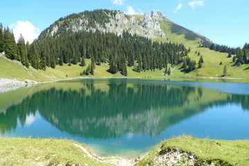 Fototapeta na wymiar Swiss Alps Summer