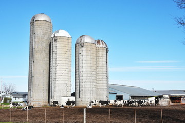 Four Silos on the Farm © StevertS