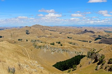Blick vom Te Mata Peak