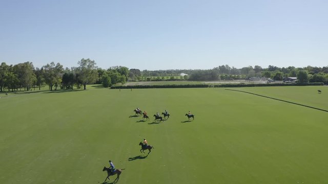 Polo player at full speed