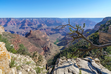 hiking the rim trail at the south rim of grand canyon in arizona, usa