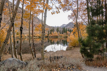 reflecctive mountain lake with pines aspens grass and mountain