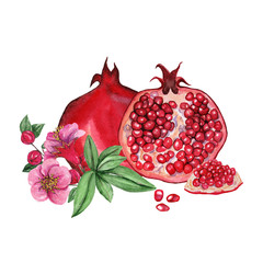 Watercolor illustrations of pomegranate for wedding cards, romantic prints, fabrics, textiles and scrapbooking. - 336517234