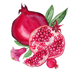Watercolor illustrations of pomegranate for wedding cards, romantic prints, fabrics, textiles and scrapbooking. - 336517241