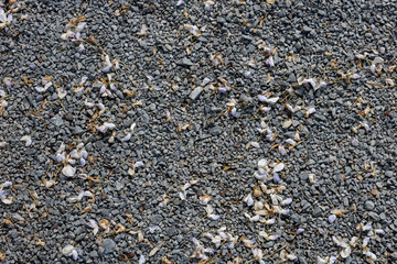 Full frame shot of gray pebbles 