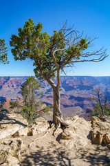 hiking the rim trail at the south rim of grand canyon in arizona, usa