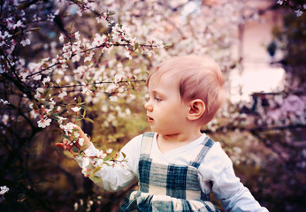 little  girl  in   spring garden.