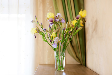 Fototapeta na wymiar Still life with purple and yellow irises
