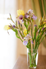 purple and yellow irises