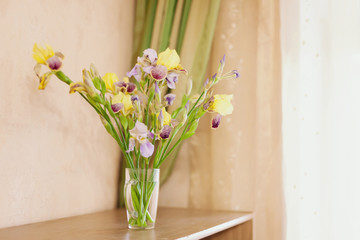 colored irises in   vase at home