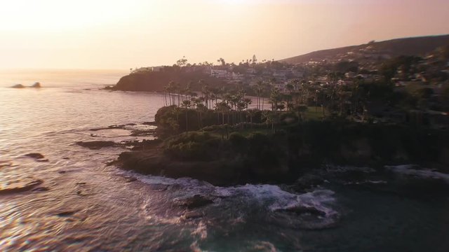 An aerial shot over Californian Palm Trees on and island.